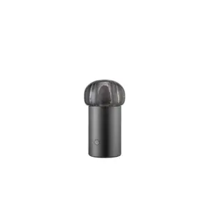 Blomus - Iris Mobile LED Bordlampe Gun Metal