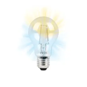 FESH Smart Home LED Pære - Kold/varm Deko E27 5,5w Klar Ø 60