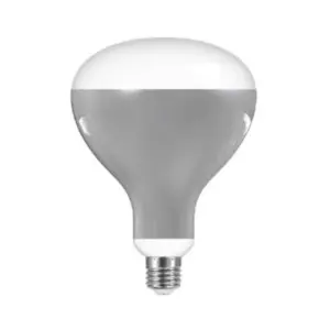FLOS - Pære LED 13W (1180lm) R125 2700K E27 Greenplux