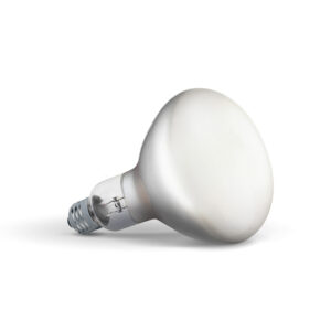 Flos - Pære LED 13W (1300lm) 2700K Dæmpbar E27