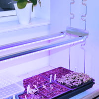 LEDlife Pro-Grow 2.0 vkst st, 2 x 60 cm, 20W LED, fuldt spektrum