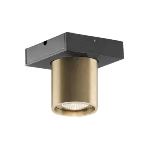 LIGHT-POINT - Focus Mini 1 LED Loftlampe 2700K Brass