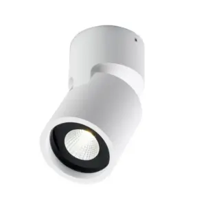 LIGHT-POINT - Tip 2 LED 3000K Loftlampe Hvid