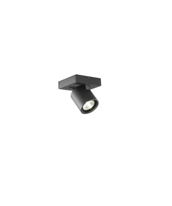 Light-Point - Focus 1 LED 3000K Loftlampe Sort