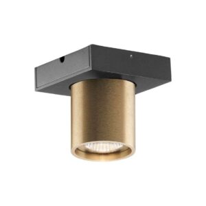 Light-Point - Focus 1 LED Loftlampe 2700K Brass