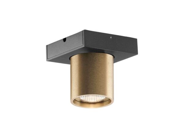 Light-Point - Focus 1 LED Loftlampe 2700K Brass