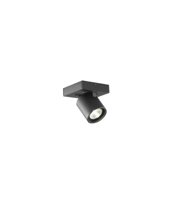 Light-Point - Focus 1 LED Loftlampe 3000K Sort