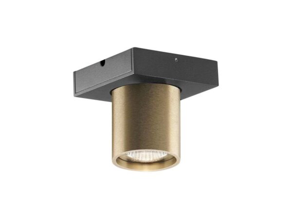 Light-Point - Focus Mini 1 LED Loftlampe 2700K Brass Light-Point