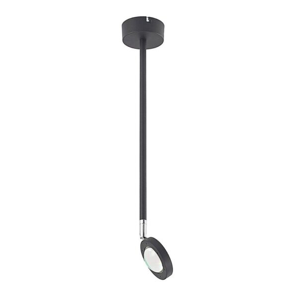 Lindby - Edonita LED Loftlampe Black