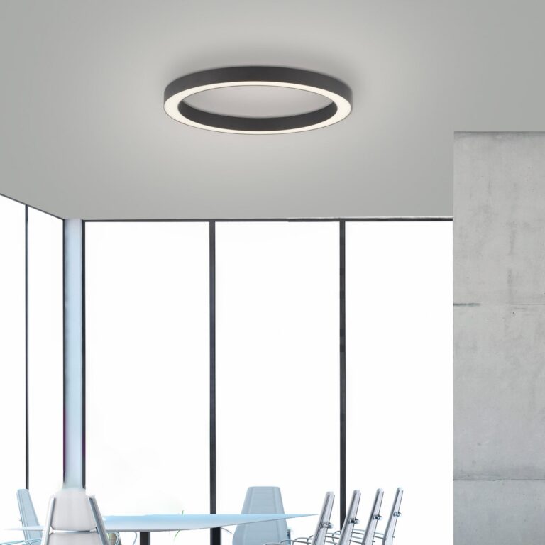Lines Round LED-loftlampe, grafit, Ø 50 cm, CCT – PURE PURE Lines Round - Stue - Moderne - Metal - Rund