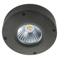 Loftarmatur Callisto LED, 4W, 2700K, grafit - SG Armaturen