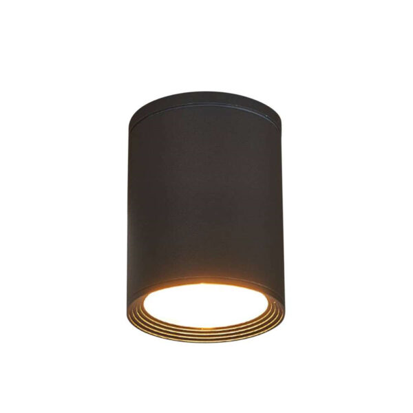 Lucande - Minna Udendørs Loftlampe Graphite