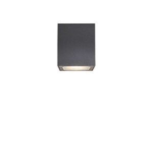 Lucande - Tanea LED Udendørs Loftlampe 10x10 Dark Grey