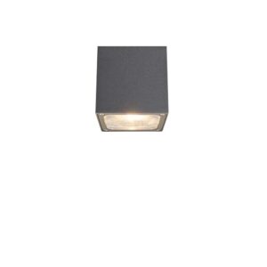 Lucande - Tanea LED Udendørs Loftlampe 12x12 Dark Grey