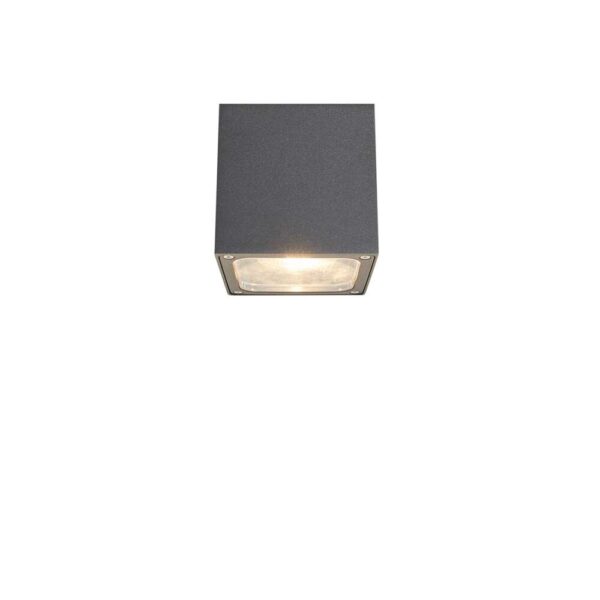 Lucande - Tanea LED Udendørs Loftlampe 12x12 Dark Grey