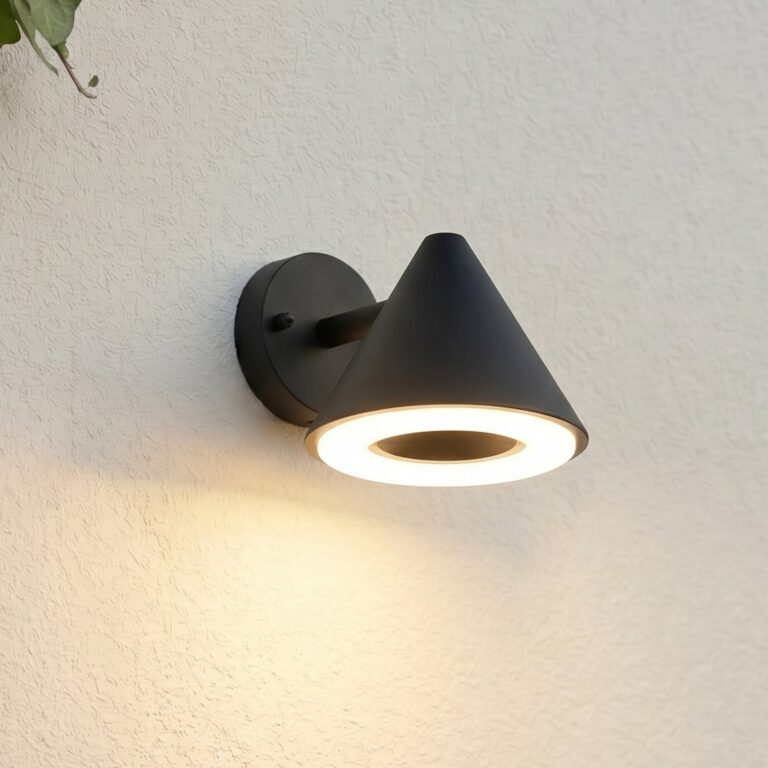 Soran udendørs LED-væglampe, metal, højde 12 cm, sort, IP44 Lindby - Moderne - Med én lyskilde