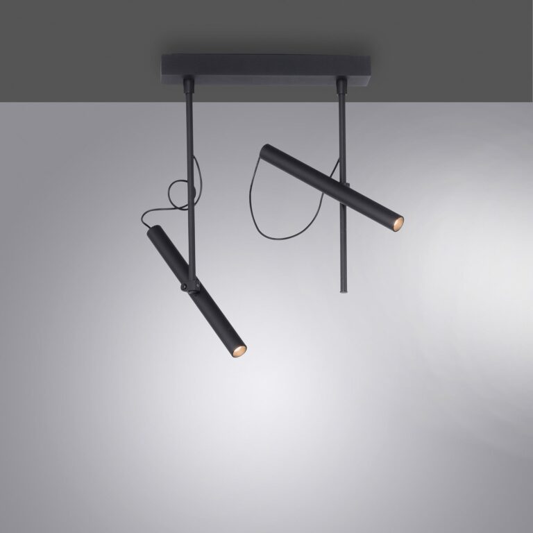 Tutua LED-loftlampe, 2 lyskilder, sort – PURE Pure Tutua - Stue - Moderne - Metal - Med flere lyskilder