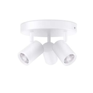 WiZ - Imageo 3 Loftlampe Round RGB White